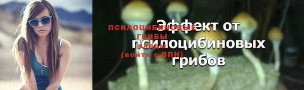 бутират Белокуриха