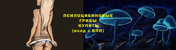 стаф Беломорск
