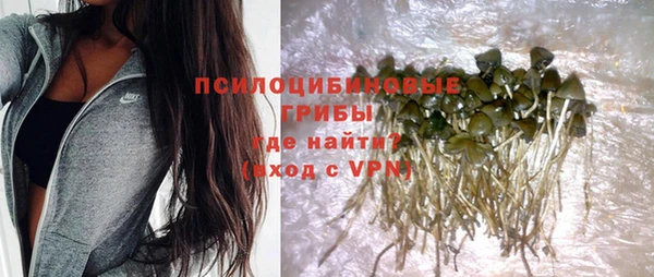 бутират Белокуриха